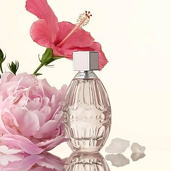 Amazon.com: JIMMY CHOO - L'Eau Eau de Toilette - Women's Fragrance