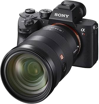 Amazon | SONY(ソニー) フルサイズミラーレス一眼 α7RM3 ボディ ILCE
