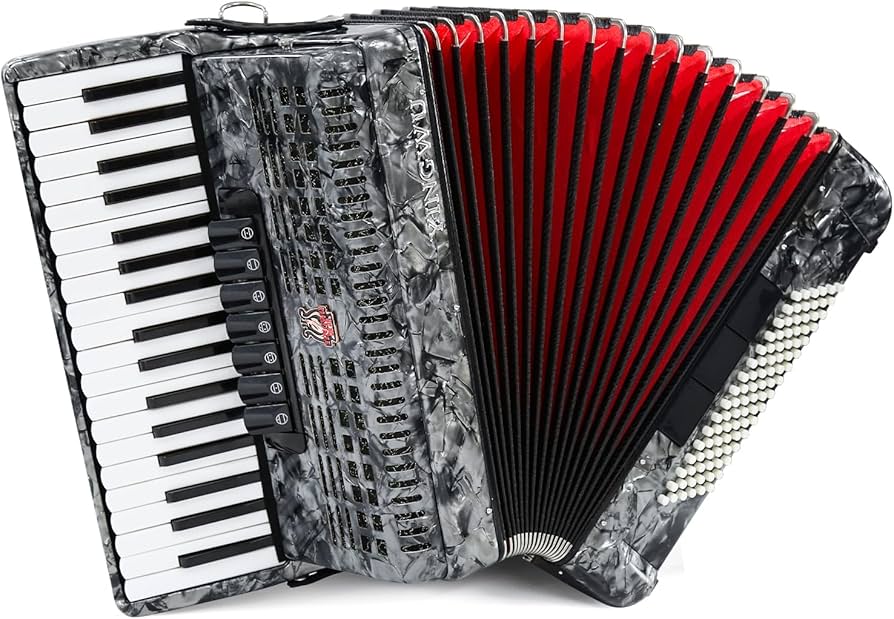 Amazon.com: Accordion 37 Keys 96 Bass, Professional Piano-Style