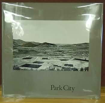 71nD02JsoPL._AC_UF350,