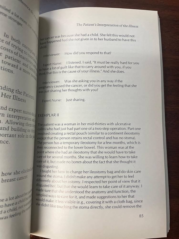 From Novice to Expert: Excellence and Power in Clinical Nursing