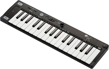 Amazon.co.jp: ミディテック GM音源(128音色)/スピーカー内蔵 USB対応