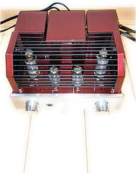 71ozLvLV2gL._AC_UF350,