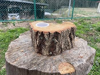 Amazon.co.jp: クワリウム 登り木 エサ台 シェルター : ペット用品