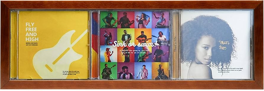 Amazon | ケンコー(Kenko) 額縁 CDディスプレイフレーム CDジャケット3