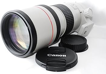 Amazon | Canon キャノン EF 300mm F4L USM 高級単焦点レンズ カメラ