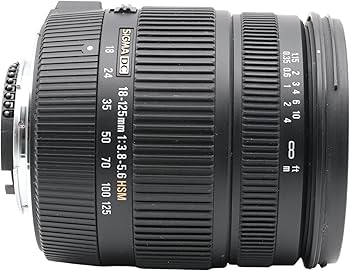 Amazon.co.jp: シグマ 18-125mm F3.8-5.6 DC OS HSM ニコン用 18-125mm