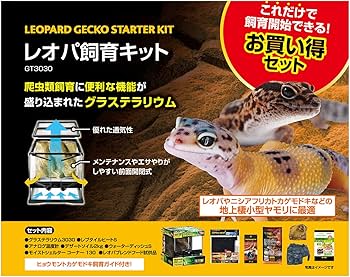 Amazon | GEX EXOTERRA レオパ飼育キット GT3030 爬虫類用ガラスケージ