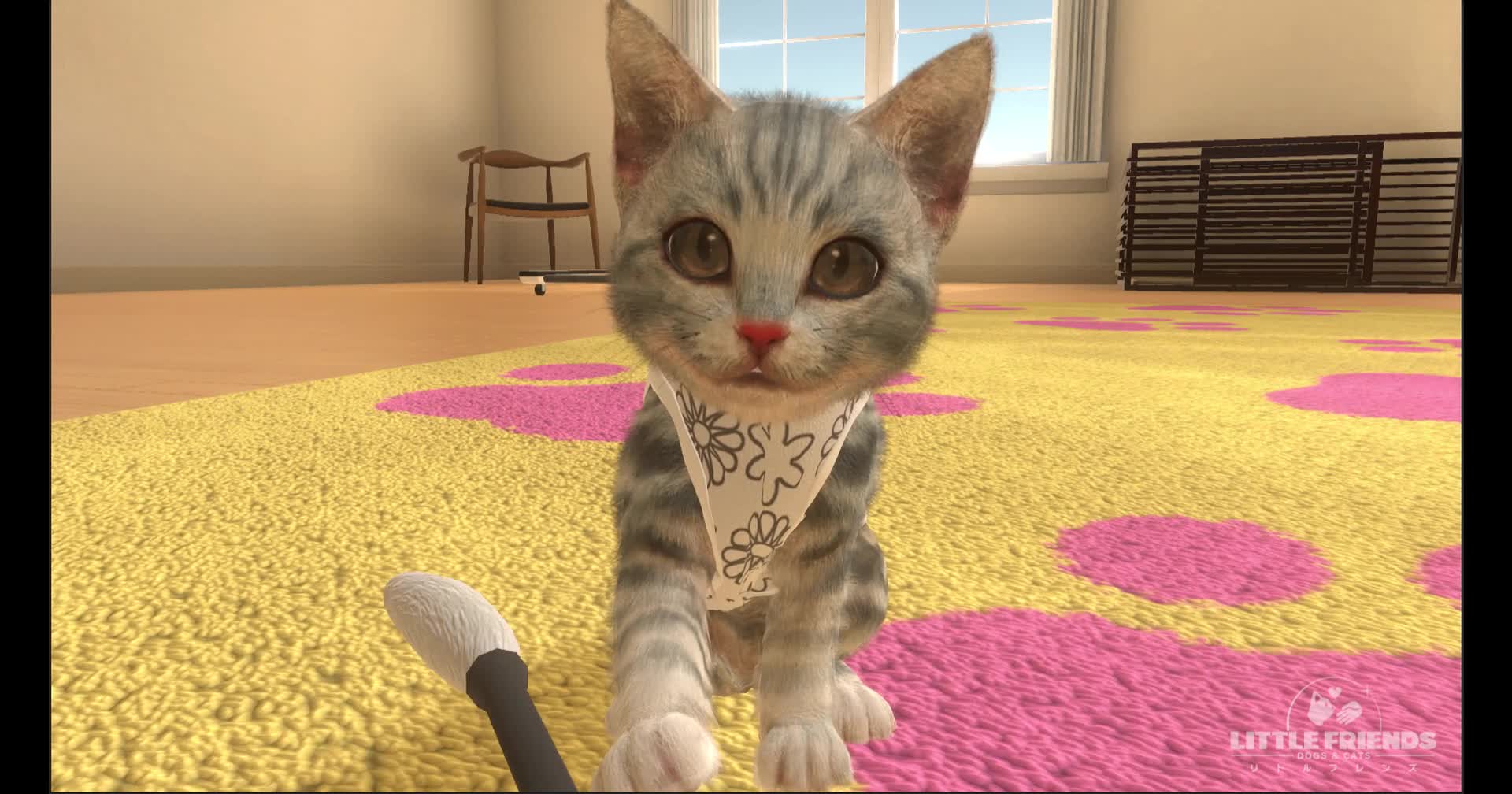 Amazon.co.jp: LITTLE FRIENDS (リトルフレンズ) - DOGS & CATS