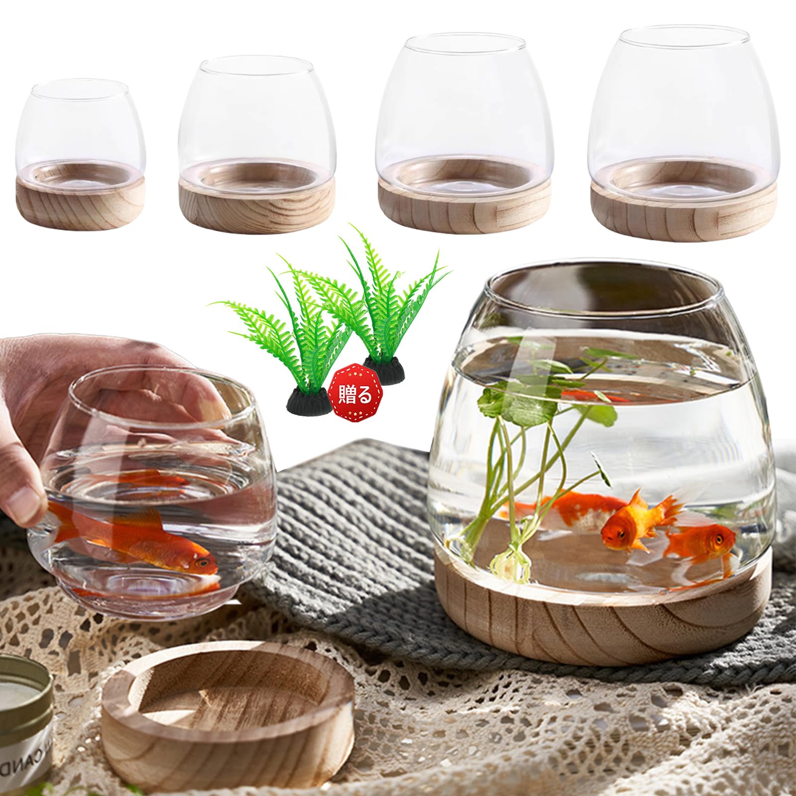 Amazon | 金魚鉢 ガラス 丸 金魚 水槽 小さい メダカ水槽 観葉植物
