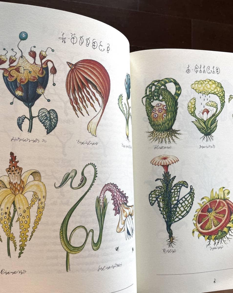 Amazon.co.jp: レア コデックス セラフィニアヌス Codex Seraphinianus
