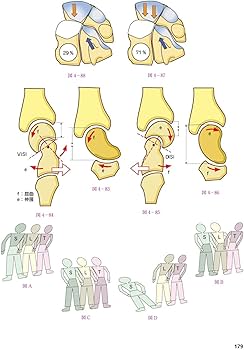 カパンジー機能解剖学 I 上肢 原著第7版 | A.I.Kapandji, 塩田 悦仁