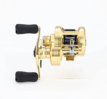 Shimano 21 Calcutta Conquest 200 : Amazon.com.au: Sports, Fitness