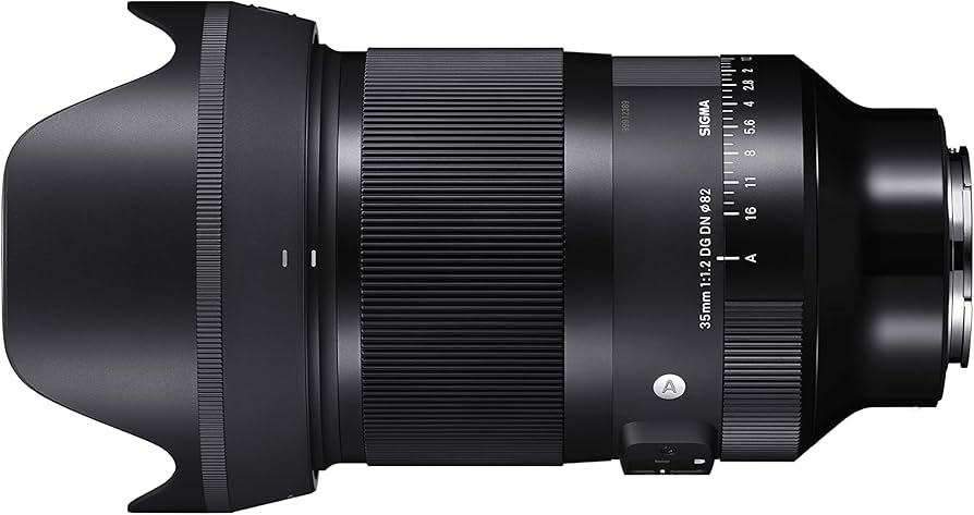 Amazon.com : Sigma 35mm F1.2 Art DG DN Lens for Sony E : Electronics
