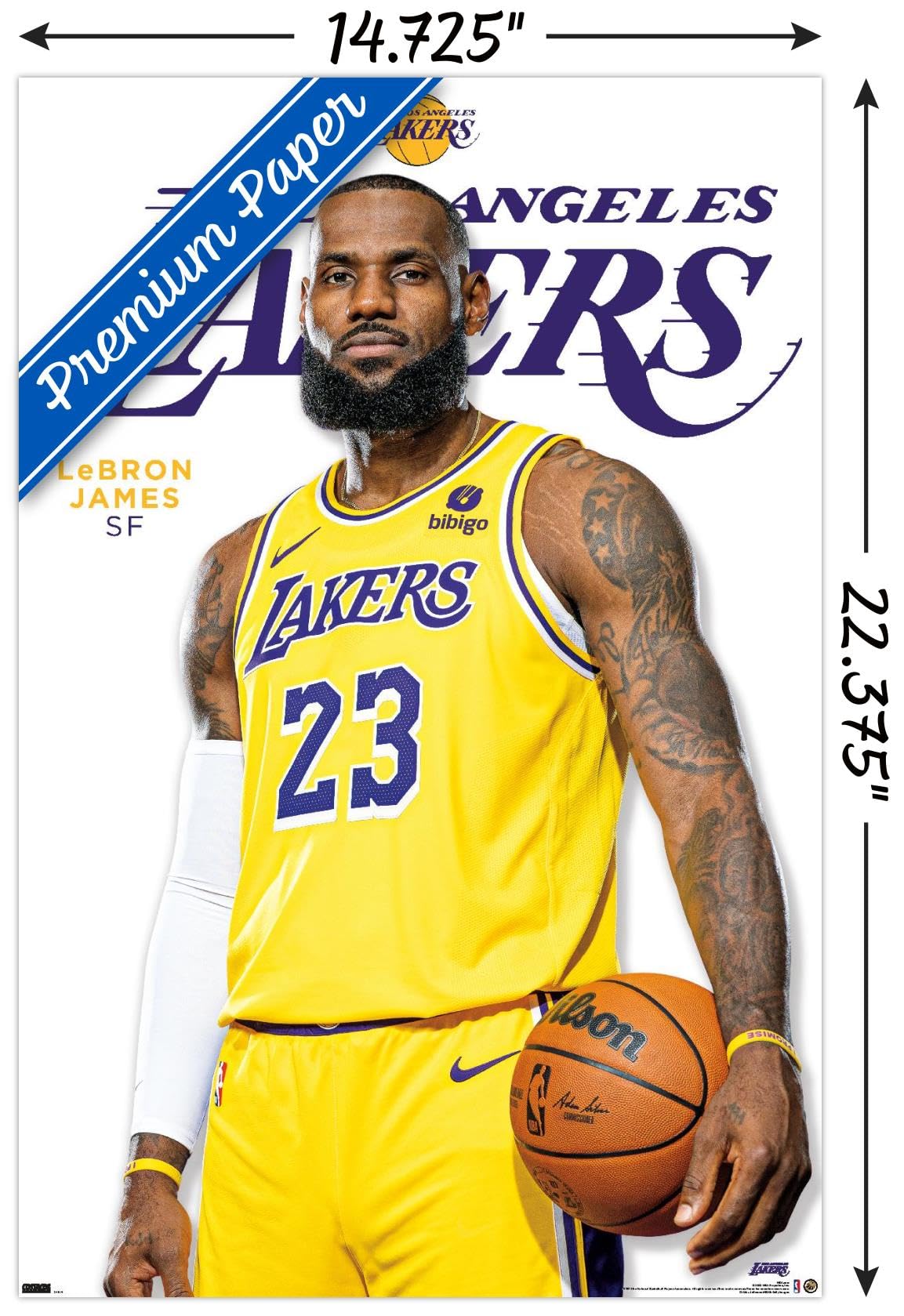 Amazon.com: NBA Los Angeles Lakers - LeBron James Feature Series