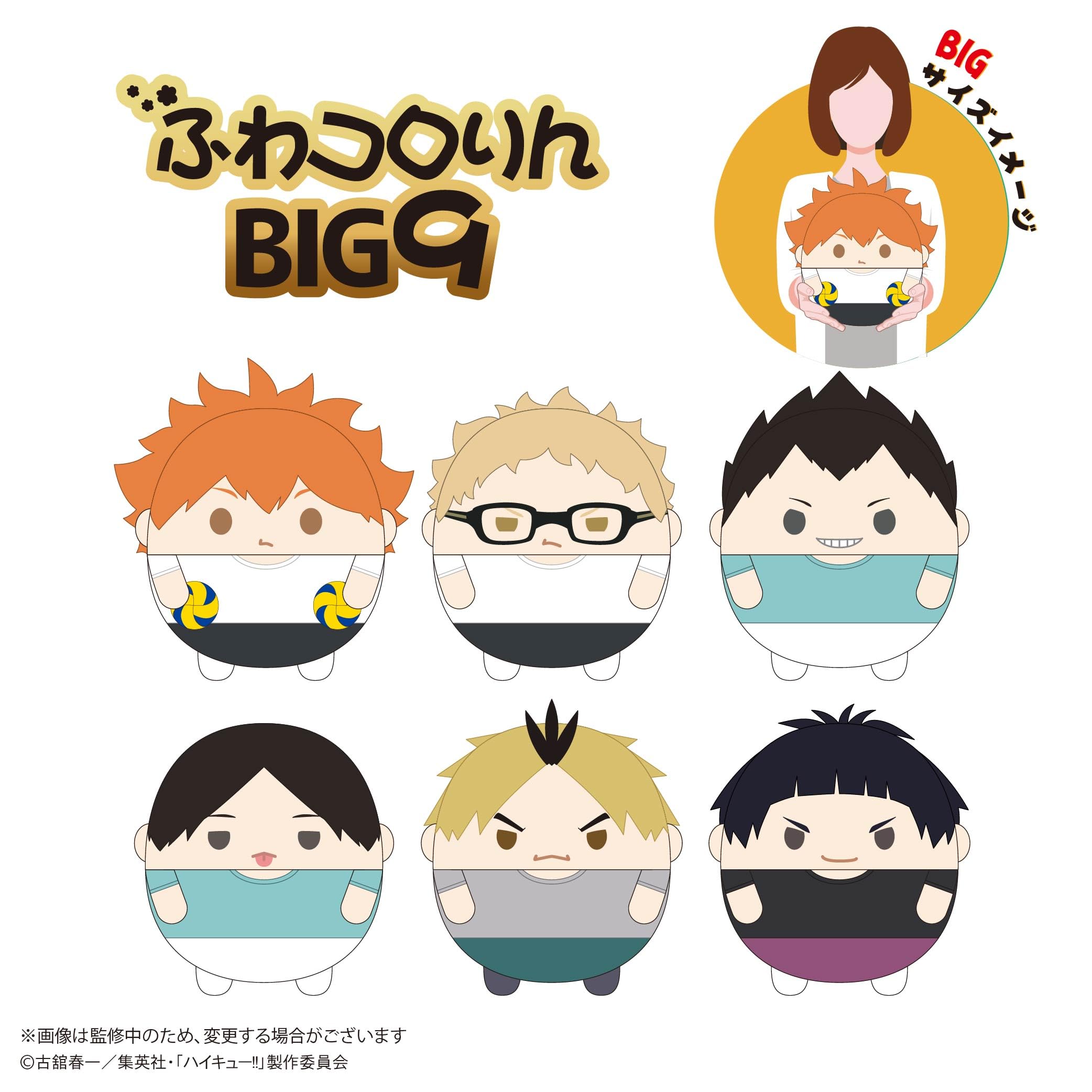 Amazon.co.jp: ハイキュー!! ふわコロりんBIG9 B：月島 蛍 : おもちゃ