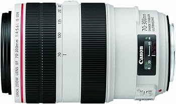 Amazon.com : USED Canon 70-300mm F4-5.6 L IS USM Lens : Camera