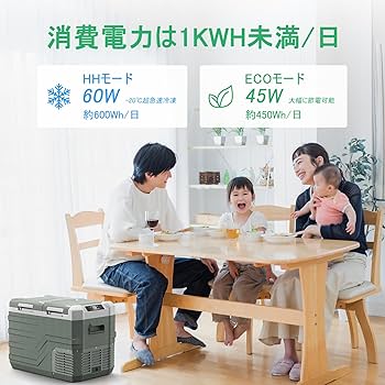 Amazon.co.jp: Alpicool 車載冷蔵庫 2室 31L ポータブル冷蔵庫 独立