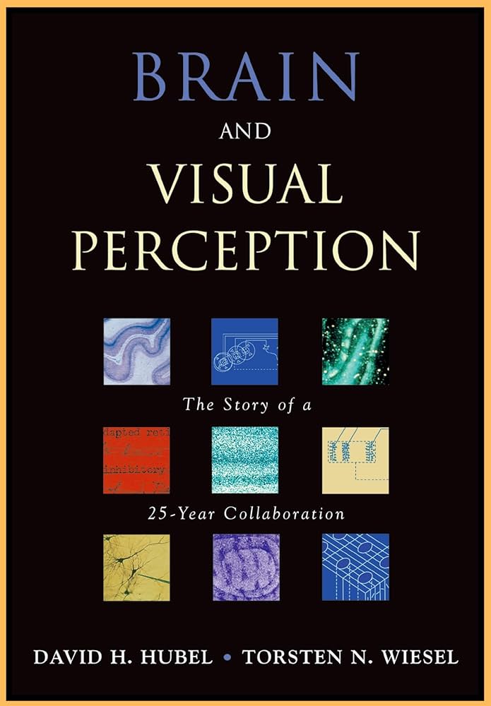 Brain and Visual Perception: The Story of a 25-Year Collaboration