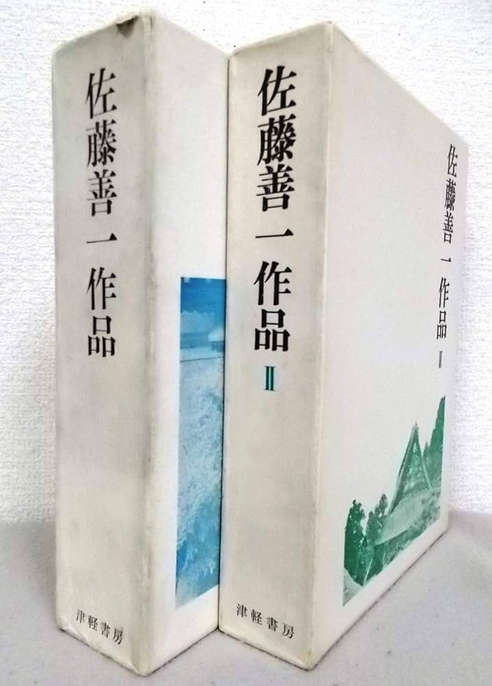 Amazon.co.jp: 佐藤善一作品〈1・2〉 2冊セット : 佐藤 善一: 本