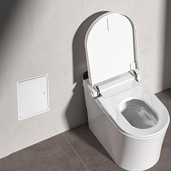 Amazon.com: EASY-EXS Access Panel 8x8 with Door (Max Service