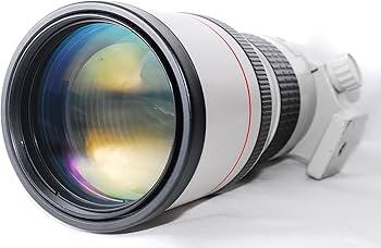 Amazon | Canon キャノン EF 300mm F4L USM 高級単焦点レンズ カメラ
