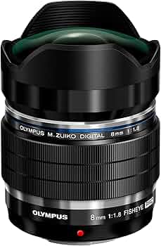 71b4WmdjDUL._AC_UF350,