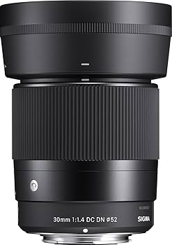 Amazon.com : Sigma 30mm F1.4 Contemporary DC DN Lens for Sony E