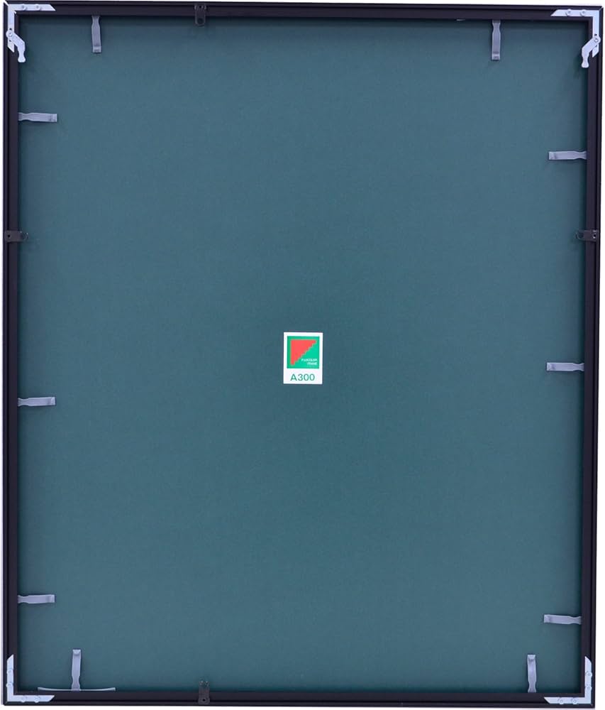Amazon.co.jp: FUJICOLOR 額縁 A300 全紙 アルミ ブラック 39682