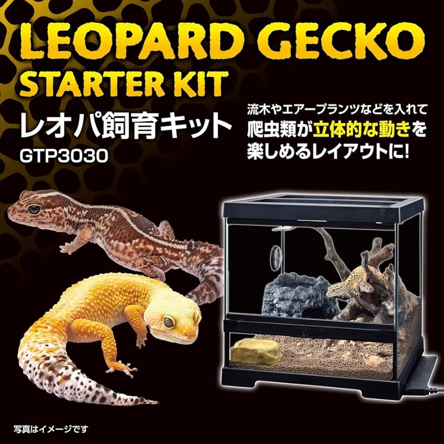 Amazon | 【ジェックス】レオパ飼育キット GTP3030 | ペットグッズ
