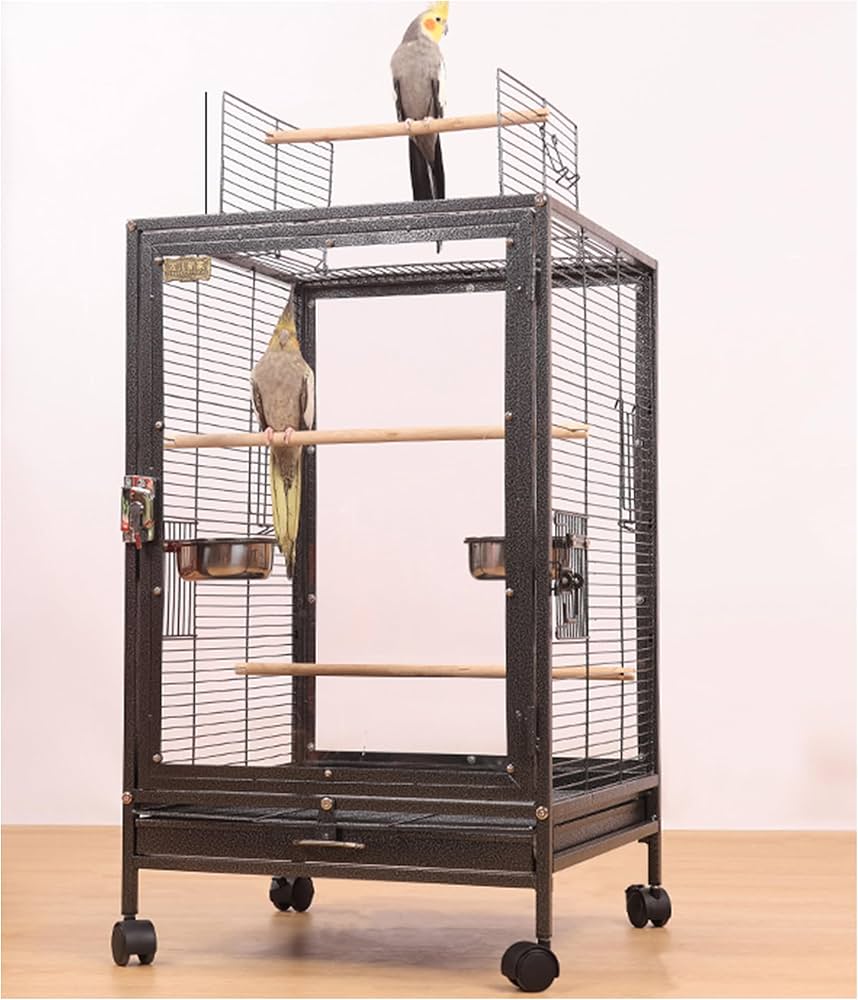 Amazon | FX-SHYQYYMZ クリアアクリル鳥かご 複数飼い大型インコ