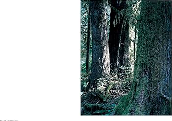 上田義彦写真集 FOREST ー 印象と記憶 1989-2017 | 上田 義彦 |本