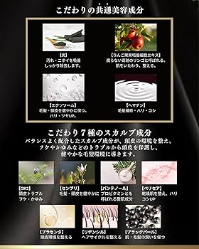Amazon.co.jp: 【 シルクザリッチ 黒】[ シャンプー ] 美容室専売品