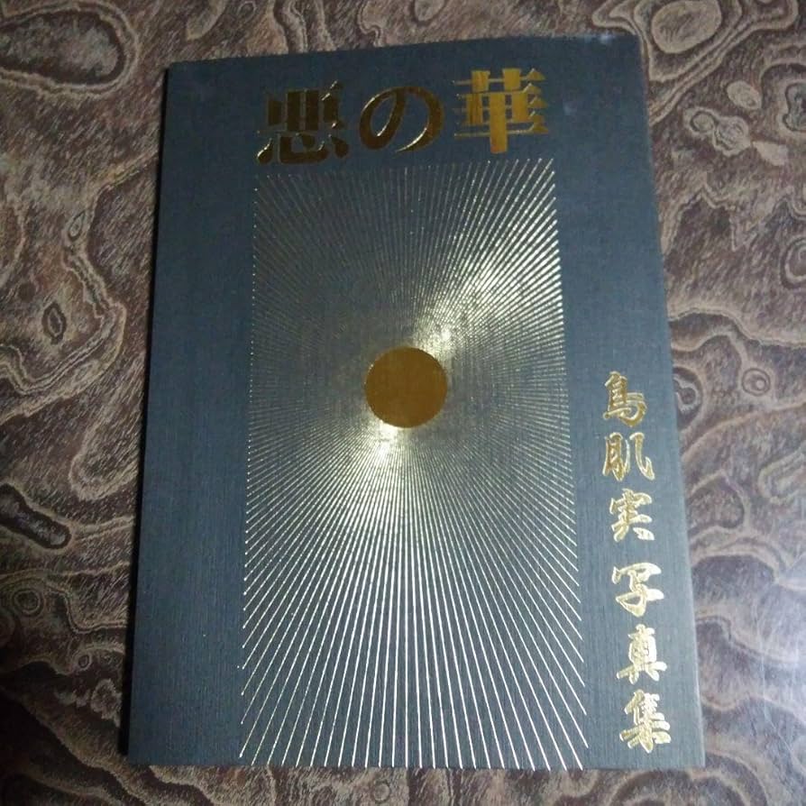 Amazon.co.jp: 鳥肌実グッズ4点セット(写真集悪の華バッジTシャツ