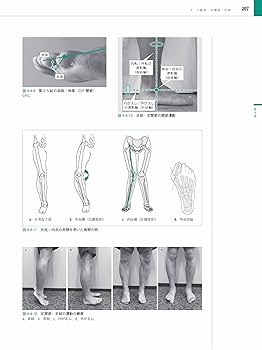 Amazon.co.jp: 運動器の機能と構造 スポーツ動作の機能解剖