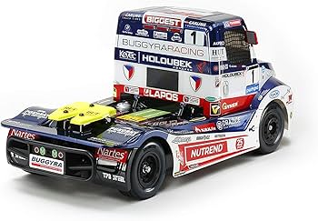 Amazon.co.jp: タミヤ 1/14 電動RCカーシリーズ No.661 BUGGYRA FAT