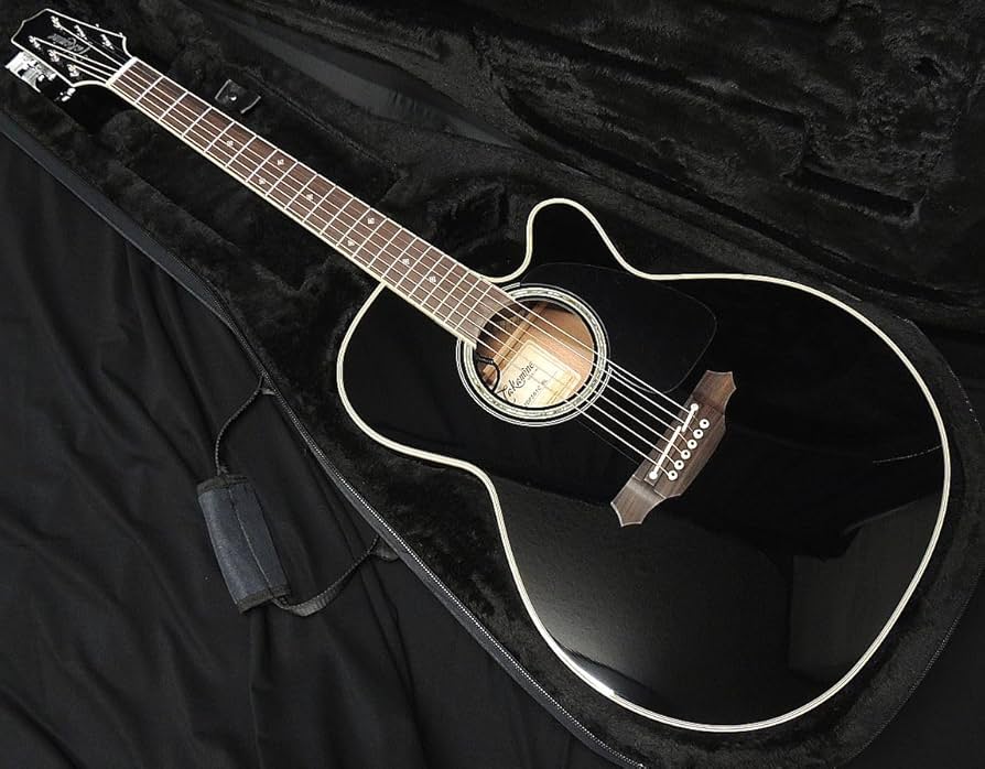 Amazon | Takamine TDP561C タカミネ エレアコ アコースティックギター