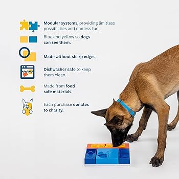 Amazon.com: Pawzler Dog Puzzle Level 1 – Beginner Interactive Dog