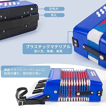 Amazon | 17キー8ベースアコーディオン教育楽器家庭用子供初心者向け