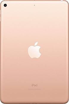 Amazon.com : Apple iPad Mini, 5th Generation (Wi-Fi, 64GB) - Gold