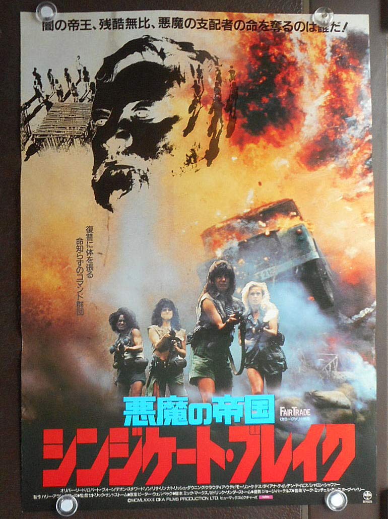 01064『暗くなるまで待って』B2判映画ポスター非売品劇場公開時