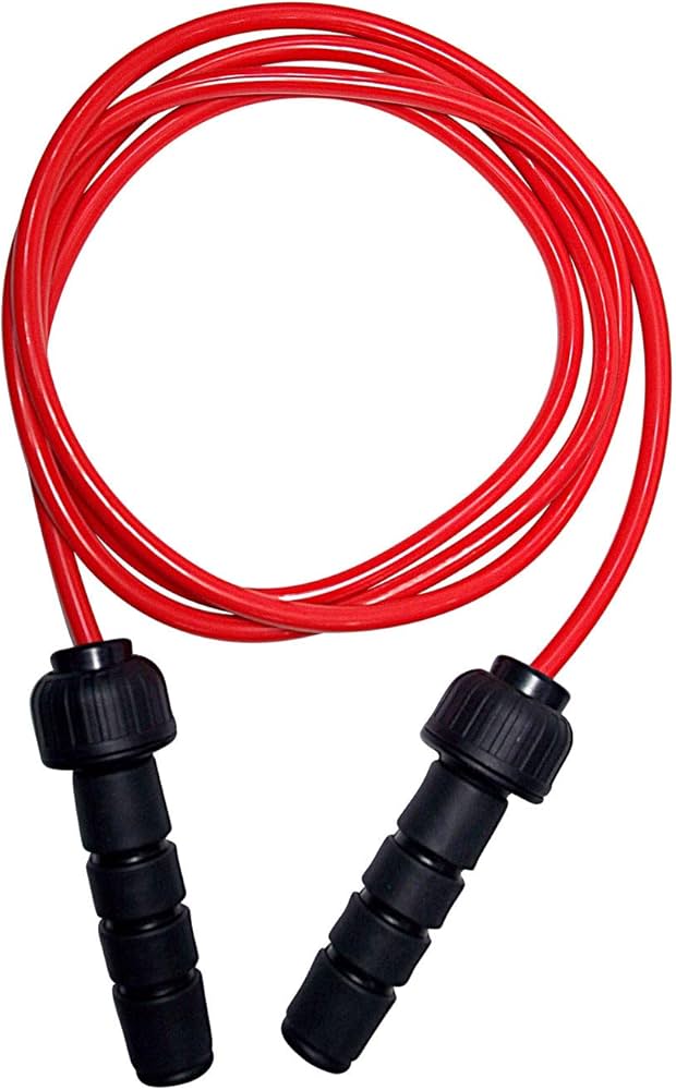 Amazon | LINDSPORTS ウェイトジャンプロープ トレーニング用縄跳び