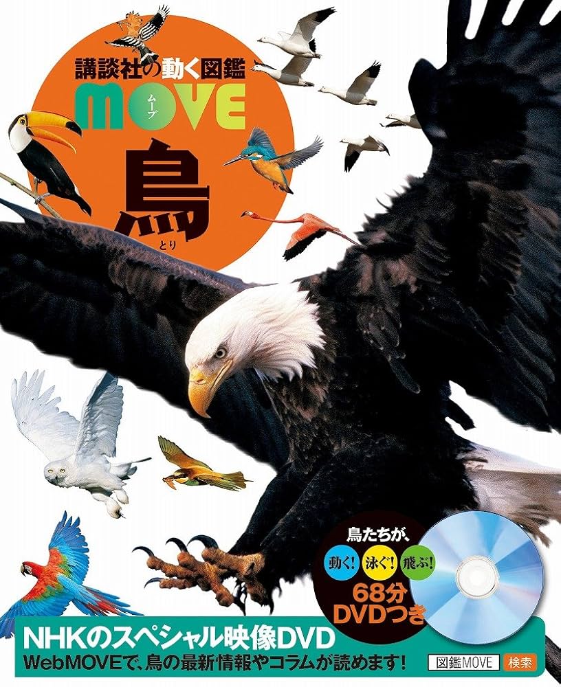 DVD付 鳥 | 講談社, 川上 和人 |本 | 通販 | Amazon