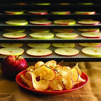 Amazon.co.jp: Excalibur エクスカリバー 食品乾燥機 フードディハイド