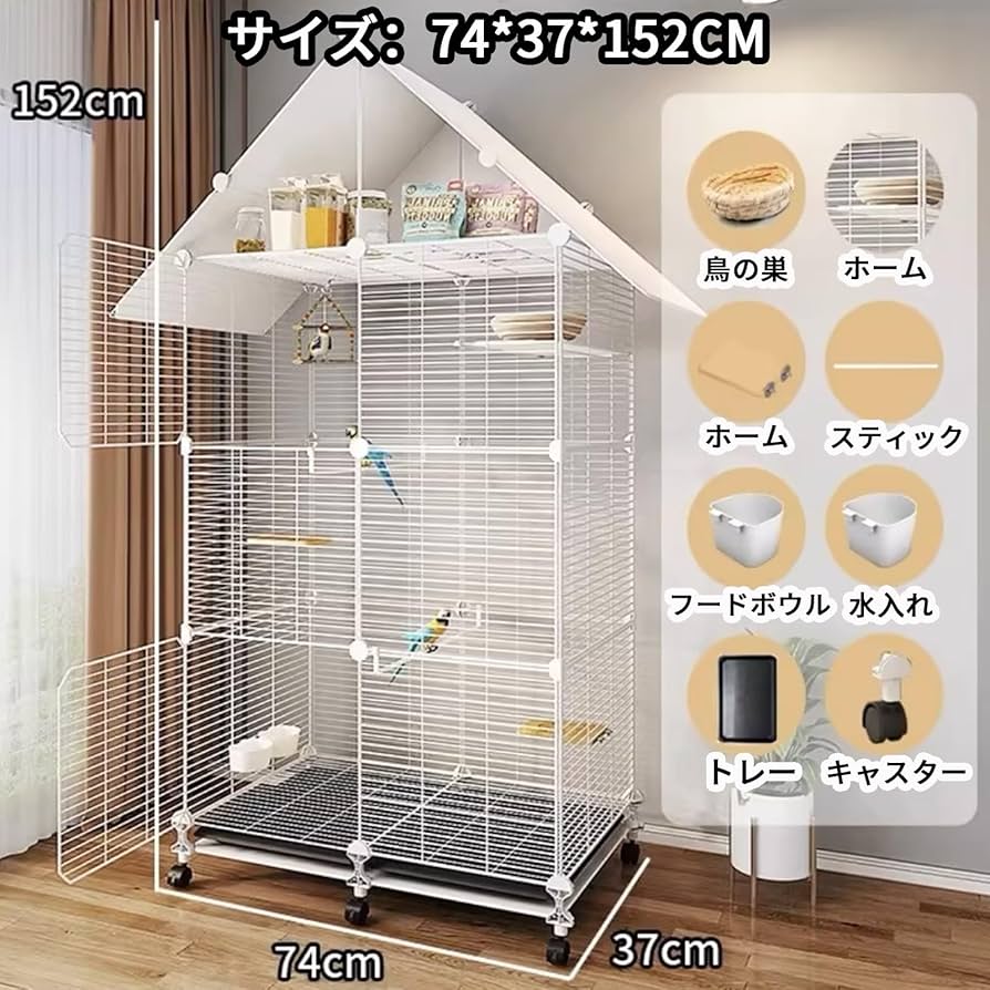 MTG 量子の謎かけ屋 日本語 3枚セット MTG 量子の謎かけ屋 日本語 3枚