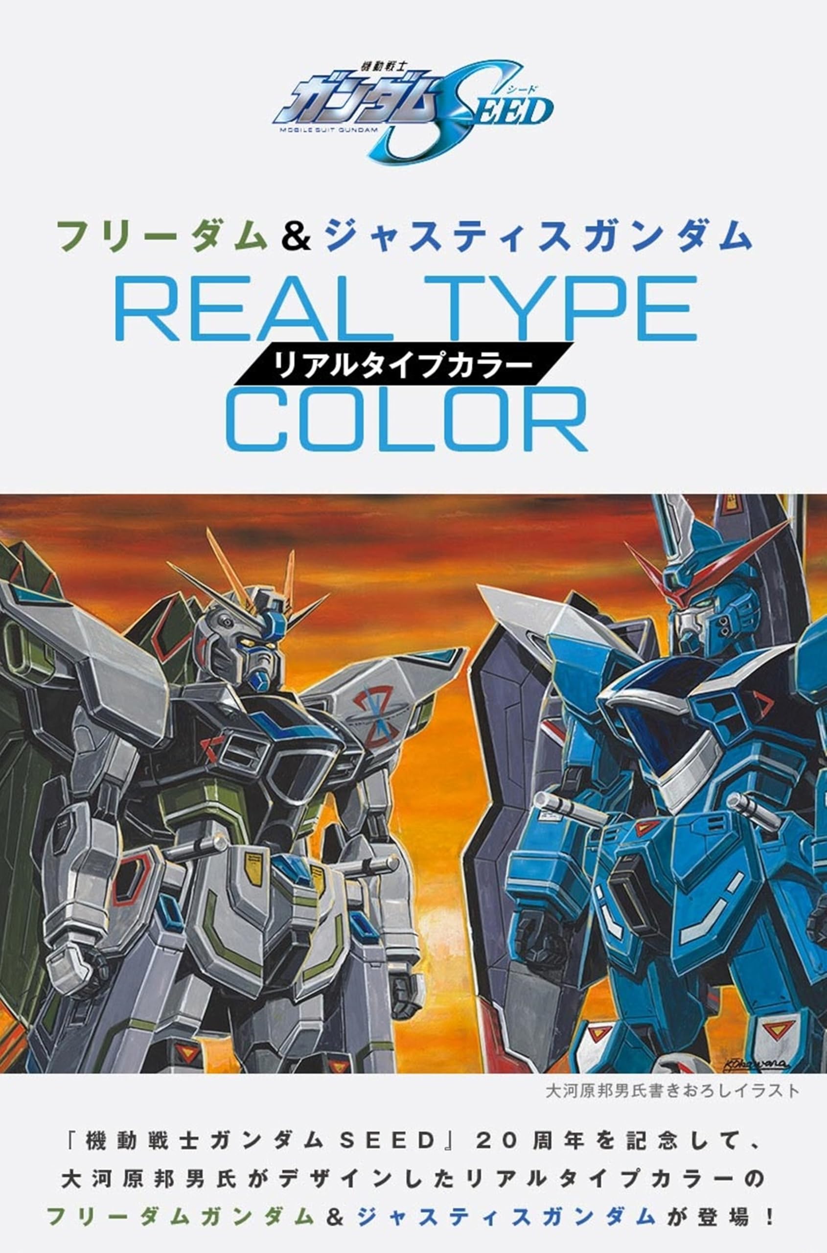 Amazon.com: BANDAI Gundam Next Future Limited Item MG 1/100