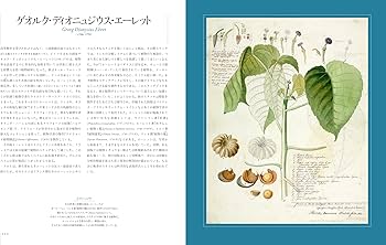 ボタニカルアートの世界:植物図譜の名品コレクション | アンドレア
