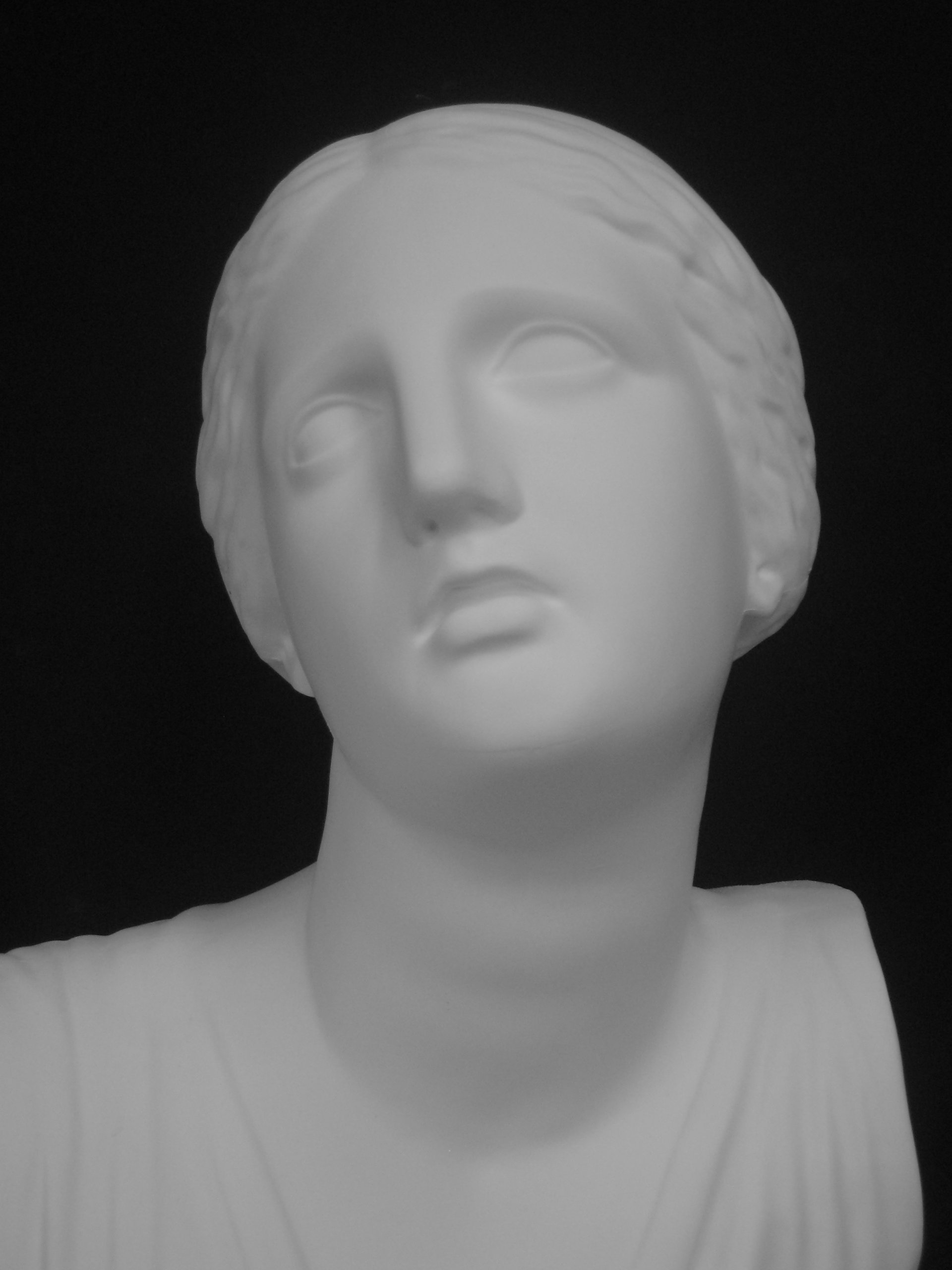 Amazon.co.jp: 石膏像 K－140 ニオベ胸像 H．65cm : ホーム