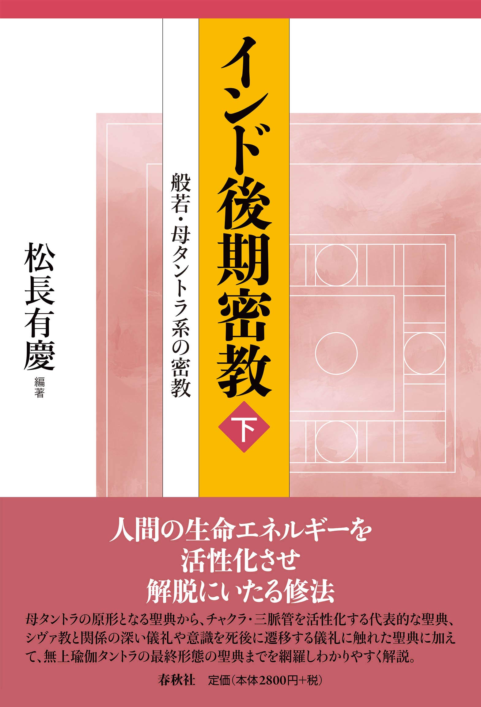 インド後期密教（下） 般若・母タントラ系の密教〈新装版〉 | 松長 有