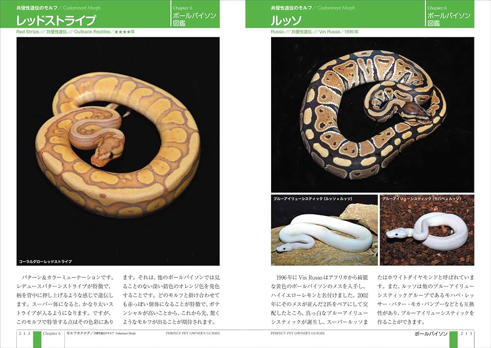 816sYyXRNZL._AC_UF1000,